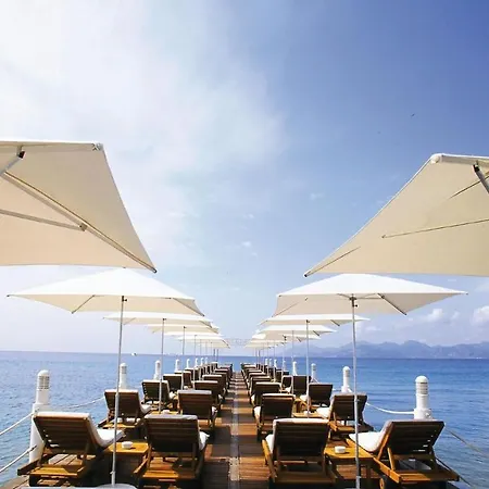 August * Κάννες