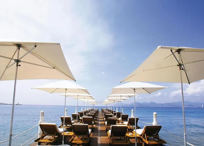 August * Κάννες